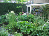 inhoud027006.jpg