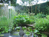 inhoud027011.jpg