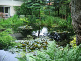 inhoud027013.jpg